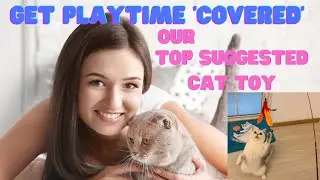 Fun Cat Toys - Cat Products #shorts
