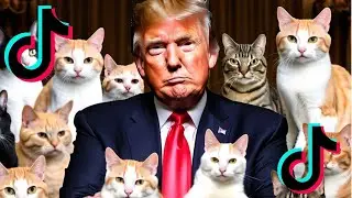 THERE EATING THE DOGS, THERE EATING THE CATS ~ DONALD TRUMP || TIKTOK COMPILATION ||