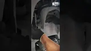 Plato suspensión