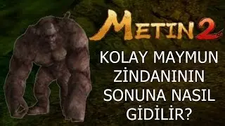 Metin2 kolay maymun zindanının sonuna nasıl gidilir?