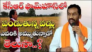 కేసీఆర్ ఫామ్ హౌస్ లో పండిన వడ్లు ఎవరికి అమ్ముతున్నాడో తెలుసా..?||TeenmarMallanna || QNews || QNewsHD