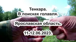 Тенкара и поиски голавлей
