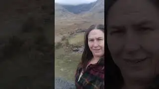 Mama Duck, live in The Wild