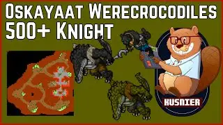Oskayaat Werecrocodiles | 500+ Knight | Tibia