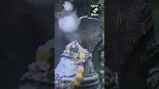श्रावण के आखिरी सोमवार को गुजरात के मंदिर में भक्तों ने 'आरती' देखी