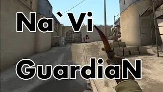 HL: GuardiaN vs fnatic