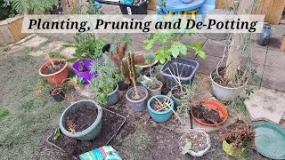 No.120 - Planting, Pruning and De-Potting.