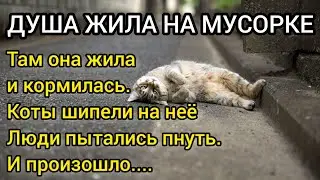Истории из жизни. ДУША ЖИЛА НА МУСОРКЕ. ТАМ ОНА И КОРМИЛАСЬ. Жизненная история о доброте. Рассказ.