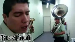 LA PLEBADA DE MEXICALI (NUEVO DE MI AUTORIA) -BANDA LA CHICANORA [POLLO LIZARRAGA]