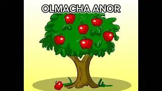 OLMACHA ANOR Oʻzbek haq  qoʻshigʻi