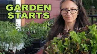 Garden Starts Update