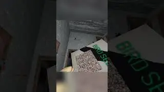 I Lit Up FIREWORKS At Grandmas HOUSE.. #granny #vrhorror #funny