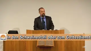 In den Schweinestall oder zum Gottesdienst? | Janko Tomas
