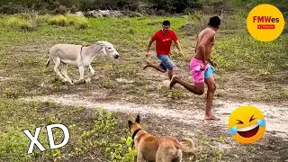 SI TE RÍES PIERDES NIVEL DIOS 