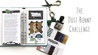 The Dust Bunny Challenge with Kira