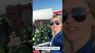 Торревьеха рынок. Цены на продукты в Торревьехе Испания. Жизнь в Испании.