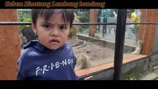 Kebun Binatang Lembang  hari raya lebaran 2024