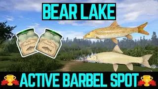 Russian Fishing 4 Bear Lake Active Barbel Spot