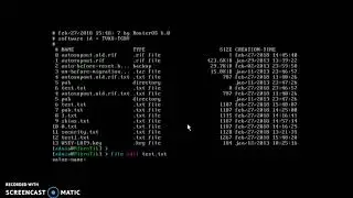 Is possible to create a .txt file on Mikrotik router.