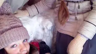 урок ОБЖ   7 класс