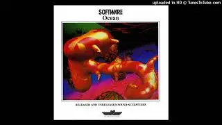 SOFTWARE - Looking For A Future (Instrumental)