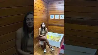 Maternidade de cachorrinhos!