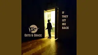 If They Let Me Back