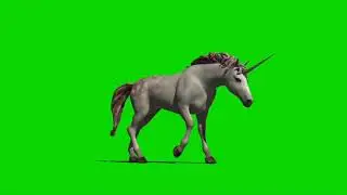 Green Screen Uicorn