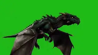 Dragon Flying Green Screen Template