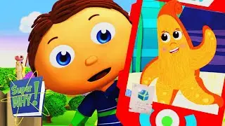 The Underwater Lost Treasure | Super Why - WildBrain | Full Episodes for Kids