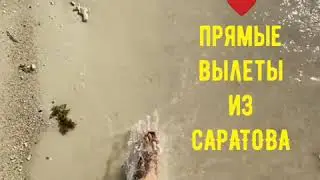 Туры в Крым из Саратова