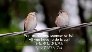 You've Got A Friend　君の友達　Michael Jackson マイケル・ジャクソン（日本語訳）ENG Lyrics