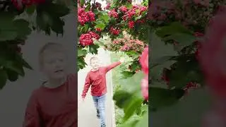 Я вам весняний настрій подарую із квітами, що тільки зацвіли!