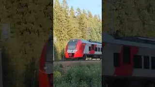 эс2г летит около ст.Лебедевка #train #славароссии