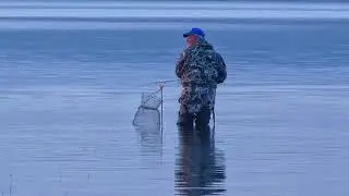 Ностальгия по лету 2020
