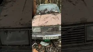 Брошенная VOLVO 240 на советских номерах