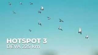 Hotspot ( 3 ) Deva 225 km - Columbodromul DeVis Sezon 2021
