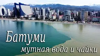 Грязная вода на море в Батуми. Чайки ищут пищу в устьях рек