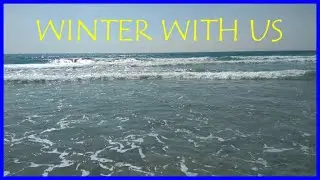 We Garden in the Winter So You Don't Have To