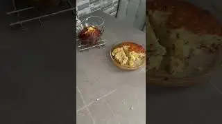 Ками 😂Все понимает