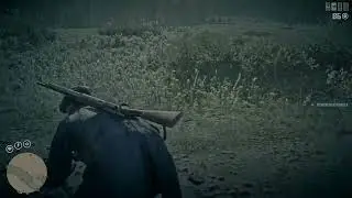 Охота в RDR 2 (с повозкой)