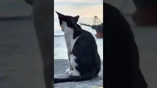 Wow! Maganda dito kapag natapos | Manila Bay Reclamation Projects