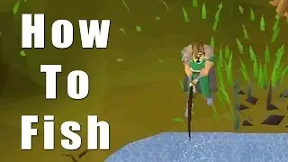 How To Fish