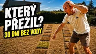 🔥 30 DNÍ BEZ VODY: Která tráva přežila? | Finále testu 16 směsí08141