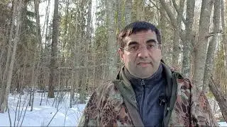 Украина. Свобода есть, нацизма нет?