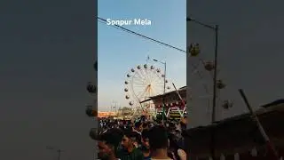 Sonpur Mela - Asia’s largest cattle fair