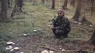 Ведьмин круг грибов. Рядовки дымчатые, серые, и белые.