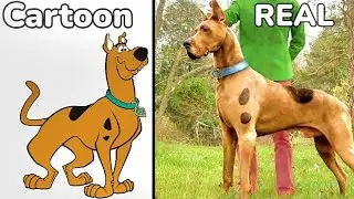 Dogs Cartoon characters in real life 💥