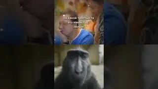 это какой год? #воронины #лёня