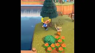 TOP 3 WARP PIPE USES in Animal Crossing - 